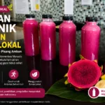 Minuman Isotonik Berbasis Pangan Lokal, Inovasi untuk Mendukung Hidrasi pada DBD dan Aktivitas Olahraga